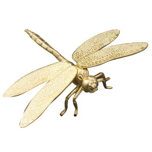 yzmamota  ANZT[ Ƃ x g{ u ^ ^ ^  CeA  I n`悯 J^ ACe ^J v[g (S[h)