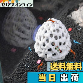 【送料無料】Refoiner エビ 隠れ家 水槽 隠れ家多孔質模造サンゴ石水槽 飾り吸盤付きの洞窟 金魚 メダカ ドジョウ 隠れ家水槽 オブジェ エビ 飼育アクアリウム 水槽 置物 カナヘビ トカゲ シェルター
