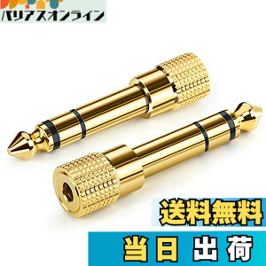 �y���������zAncable �C���z���W���b�N �ϊ� �v���O 2�{ �X�e���I�~�j�v���O 6.35mm 3.5mm �ϊ� �A�_�v�^ ���X�I�X �w�b�h�z�� �A���v �d�q�s�A�m �C���z���ȂǗp