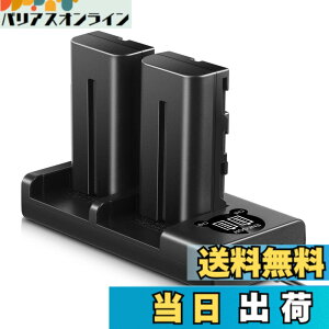 �y���������zENEGON Sony NP-F550/NP-F570�݊��o�b�e���[�i2�j2900mAh+USB�[�d�� �Ή�NP-F530/ NP-F550 /NP-F570/ NP-F330/ CCD-RV100/ RV200/ TR1 /TR940 /TR917 /CN-160 /CN-216 /CN-304 /YN 300 /V607u /V617u