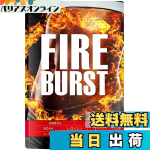 �y���������z�yFIRE BURST�z L-�J���j�`�� BCAA�z�� �T�v�� ���I�f�� 90����