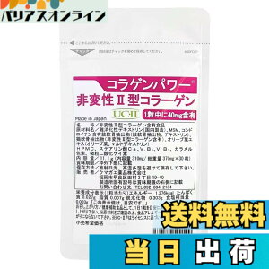 �y���������z��ϐ� 2�^ �R���[�Q�� UC-II �������v���C�X �R���Q���p���[ 30�� 30���� II�^�R���[�Q�� �T�v�� �R���p���[