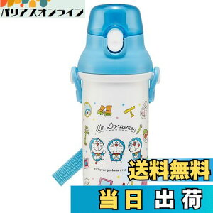 yzXP[^[(Skater)  h CfUC TI 480ml qp R vX`bN qɗD y { PSB5SANAG-A