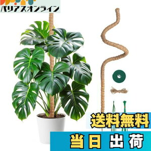 yzMcbazel ϗtA x Xe 120CM |px Ȃ\ RRibcEAx K[fjOp 7MM RCA|[p ێE{ێE_ƁE |p