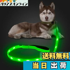 yzCandofly ˌ^ LED p[h - ÈłŌ錢p[h USB [dƖtp[vA4 tB[g̑ϋv̂ϐ_Ōp[hAybǧ̖̎Up ()