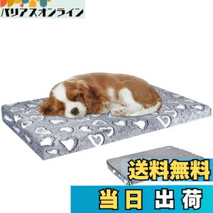 yzVANKEAN xbh ybgxbh ybg}bgX ӂӂ ^p ^p hCjO O\ @Ő􂦂 lG ʔN^Cv ƂT|[g CgO