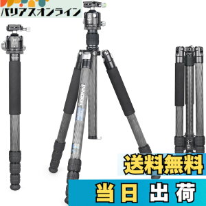 �y���������zINNOREL RT85C �J�[�{�� �O�r �{�[���_�� �L�b�g 184CM �g���x���O�r �v���� �i�b�g���b�N�� �G���x�[�^�[�� �ω׏d 25KG �l�i�r ��r�ώ� �p�C�v�a32mm ���y�� �^���� �o�R ��O �쒹 