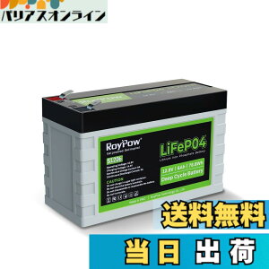 �y���������zRoyPow 12V LiFePO4 �����_�S���`�E���C�I���o�b�e���[ �T�C�Y�F12V6Ah