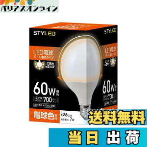�y���������z�X�^�C���h LED�d�� ��ʓd���E�{�[���d���` �������a26mm �F�F�d���F�A�T�C�Y�F60W