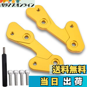 �y���������zLEDISHUN �o�b�N�X�e�b�v �A�W���X�^�[ 30mm �A�b�v 25mm �o�b�N �J���T�L ZX-25R(2020-2023) ZX-4R ZX-4RR (2023+)�ɓK�p �F�F�S�[���h