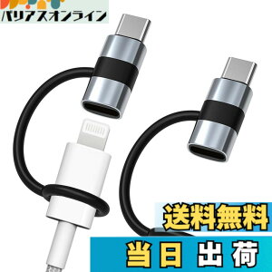 �y���������zGLOWZEN ���C�g�j���O �^�C�vc �ϊ� typec lightning �ϊ� 2�Z�b�g 60W PD�}���[�d 480Mbps�����Ńf�[�^�]�� �C���z���Ή��s��