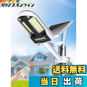 �y���������zintelamp �\�[���[�X�� �l���Z���T�[ 6500K�����F �Ɩ� �F�F�u���b�N���z���C�g�A�T�C�Y�F13P10