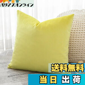 �y���������zOtostar �N�b�V�����J�o�[ 45x45cm 1�� ���n ������� ���� �x���x�b�g ���_�� �W�b�p�[�� �C���e���A ���������p �����p�s���[�J�o�[ �F�F�������C�G���[�A�T�C�Y�F45cmx45cm(1 ���g