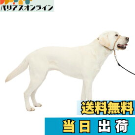 【送料無料】PetSafe（ペットセーフ） ジェントルリーダー 引っ張り防止 ヘッドカラー 犬用 散歩トレーニング 色：フォーン、サイズ：L