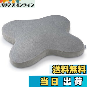 �y���������z�e���s���[��(Tempur) ���J�o�[ �F�F�O���[�A�T�C�Y�F�I���u���V�I�s���[�p