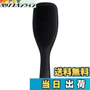 �y���������zTANGLE TEEZER �^���O���e�B�[�U�[ �M�t�g�{�b�N�X �U�E�A���e�B���b�g�f�B�^���O���[ �F�F�h���[���u���b�N�A�T�C�Y�F�m�[�}��