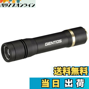 �y���������zGENTOS(�W�F���g�X) �����d�� LED���C�g �[�d�� 200~900���[���� ���N�V�[�h RX-285R/RX-286R/RX-304R/RX-386R/RX-486PB �F�F�u���b�N�A�T�C�Y�F���a29.5x141.8mm