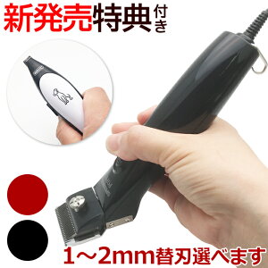 V Xs[fBN |bvXiTAPIO SP-3 p@j֐nt SPEEDIK POPS SP-5 { ubN bh oJ p vp g}[ ybgoJ Xs[ 2023NV@  yb