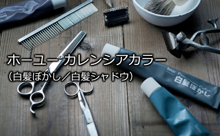 楽天市場】送料無料 ホーユー カレンシアカラー 80g 白髪ぼかし 1剤 