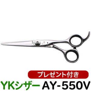 y50OFFzU nT~ YKVU[ AY-550ViV[g 5.5C`jet e et ͂ VU[ wAJbg V[gVU[ ~j {u vp͂  JbgoT~zybg yC