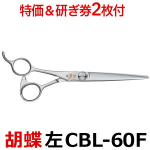 y30OFFtzg~OVU[ Ӓ CBL-60FiJbgEV[g^6.0C`jpV[gVU[  y͂ p vpVU[ ybgpVU[  nT~ g~O g