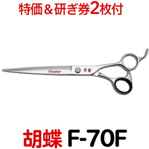 y40OFFtzg~OVU[ Ӓ F-70FiJbgEO^7.0C`jOVU[  ͂ p vp ybgpVU[  nT~ g~O g}[ Jbg g