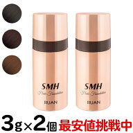 【2個セット】送料無料 ルアン スーパーミリオンヘアー SMH ヘアファンデーション スティックタイプ 3g …