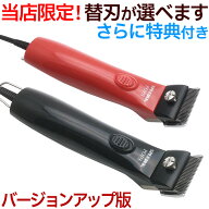 【選べる替刃付き】新発売 スピーディク TAPIO SP-3 後継機 SP-5型 スピーディク ポップス 日本製 研ぎ割…