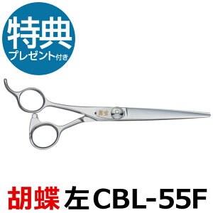 g~OVU[ Ӓ CBL-55FiJbgEV[g^5.5C`jpV[gVU[  y͂ p vpVU[ ybgpVU[  nT~ g~O g}[ Jbg g~O