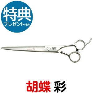 g~OVU[ Ӓ  IRODORIiJbgEO^7.0C`jOVU[  ͂ p vp ybgpVU[  nT~ g~O g}[ Jbg g~Opi p