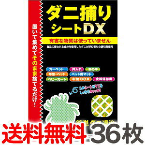 y3×12z gv _j߂V[g DX MTCY2p 36i3×12pbNj  _jV[g }bg  _jLb`[yCPz