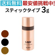 SMHヘアファンデーション スティックタイプ 3g ルアン スーパーミリオンヘアー 白髪隠し 薄毛隠し ブラッ…