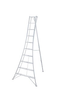 JH(Hasegawa)|pA~Or@O[Xebv@GSC|300a@10i@3mi17850j