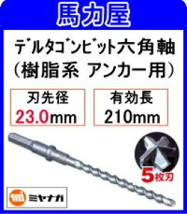 ~iK f^SrbgZp23.0mm y5nznAJ[p [DLHEXB23033]