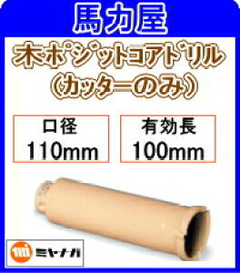 ~iK ؃|WbgRAhJb^[̂ 110mm [PCC110C]