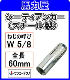 サンコーテクノ シーティアンカーCT-5060 【25本入】インチねじ (スチール製)