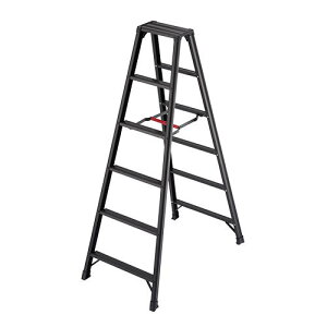 JH(Hasegawa)@A~pr ryBLACK RZB^ 6i@RZB-18b