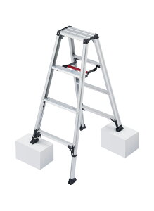 JH(Hasegawa)@A~pr RZS ryLk^Cv 4i@RZS-12a