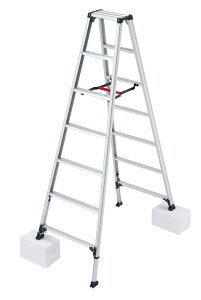 JH(Hasegawa)@A~pr RZS ryLk^Cv 7i@RZS-21a