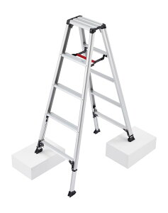 JH(Hasegawa)@A~pr RZS ryLk^Cv 5i@RZS-15a