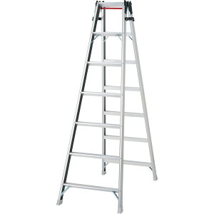 JH(Hasegawa)@A~͂pr RAX-c ͂pr "7i"@RAX-21c