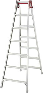 JH(Hasegawa)@A~͂pr RS-b ͂pr(^b`o[t) "7i"@RS-21b