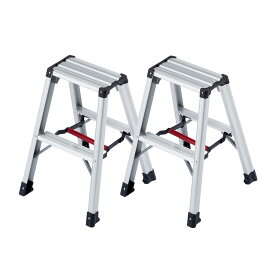 【台数特価】長谷川工業(Hasegawa)　アルミ合金製専用脚立 脚軽 RZ型 2段　RZ-06c　2台