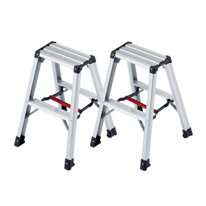 �y�䐔�����z���J��H��(Hasegawa)�@�A���~��������p�r�� �r�y RZ�^ 2�i�@RZ-06c�@2��