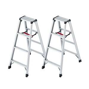 y䐔zJH(Hasegawa)@A~pr ry RZ^ 4i@RZ-12c@2