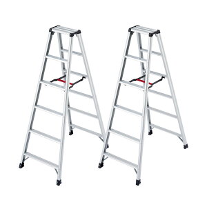 y䐔zJH(Hasegawa)@A~pr ry RZ^ 6i@RZ-18c@2