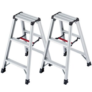 y䐔zJH(Hasegawa)@A~pr ry RZ^ 3i@RZ-09c@2