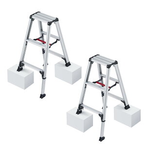 �y�䐔�����z���J��H��(Hasegawa)�@�A���~��������p�r�� RZS �r�y�L�k�^�C�v 3�i�@RZS-09a 2��