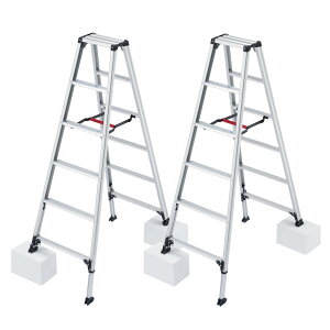 y䐔zJH(Hasegawa)@A~pr RZS ryLk^Cv 6i@RZS-18a 2