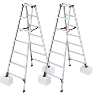 y䐔zJH(Hasegawa)@A~pr RZS ryLk^Cv 7i@RZS-21a 2